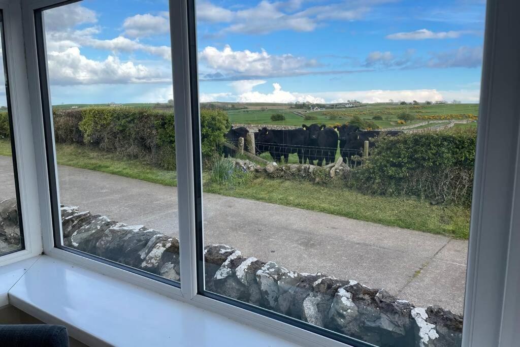 ניוטון סטיוארט Galloway Farmstay Broughton מראה חיצוני תמונה